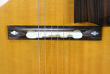 1998 Ted Megas Custom Apollo Archtop