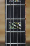 1998 Ted Megas Custom Apollo Archtop