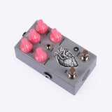 AC Noises Ama (reverb w/ oscillator + bit crusher) v.2 *Free Shipping in the USA*