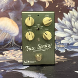 Source Audio True Spring Used