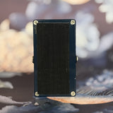 Walrus Audio Mayflower Used