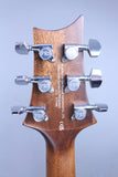 2022 Paul Reed Smith SE Angelus AEPPE Black
