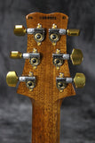 2024 Paul Reed Smith Santana Retro  10 Top