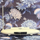 Moog Theremini