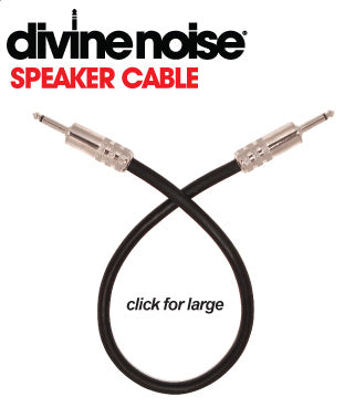 Divine Noise Speaker Cable 3ft