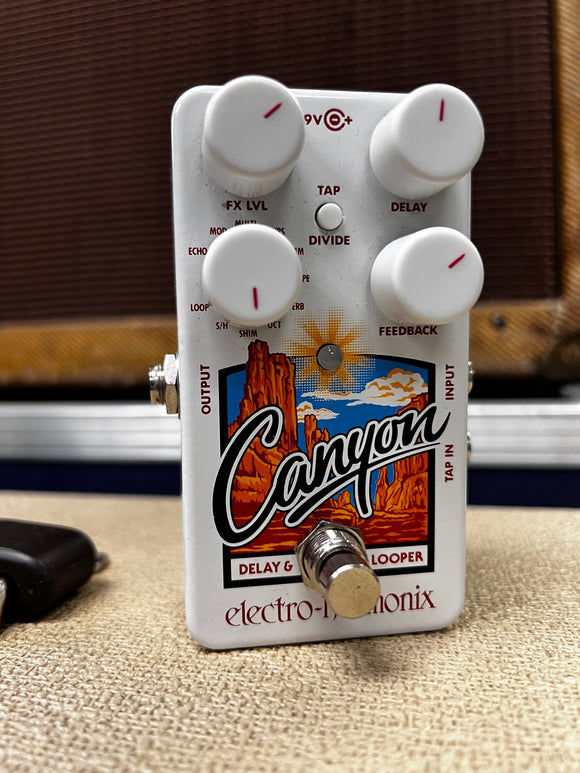 Electro-Harmonix Canyon Delay Used