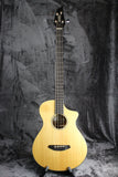 Breedlove Pursuit Acoustic Bass