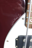 Music Man Bongo 5-String