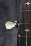 Gold Tone MC-150R Banjo