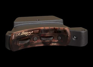 LR Baggs Session VTC Acoustic Guitar Pickup *Free Shipping in the USA*