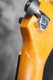 Godin xtSA