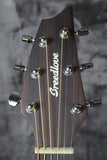 Breedlove Discovery Concert CE MH