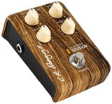 LR Baggs Align Series Session *Free Shipping in the USA*